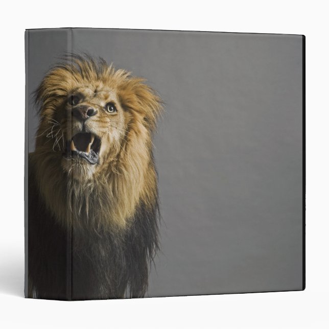 Lion roaring binder (Front/Spine)