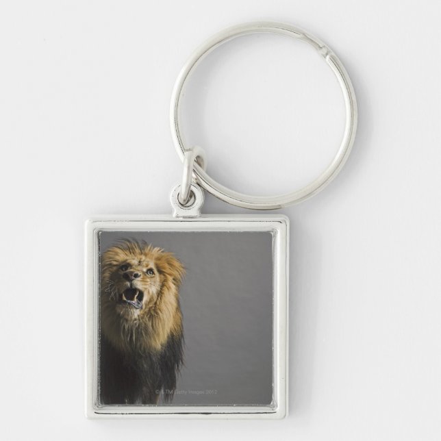 Lion roaring keychain (Front)