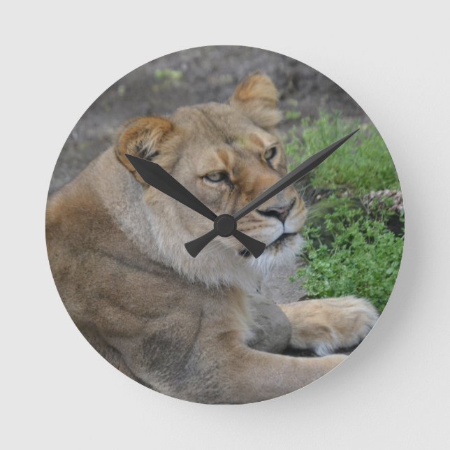 Lion Round Clock (Front)