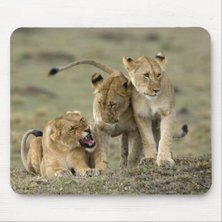Lion Siblings Mouse Pad
