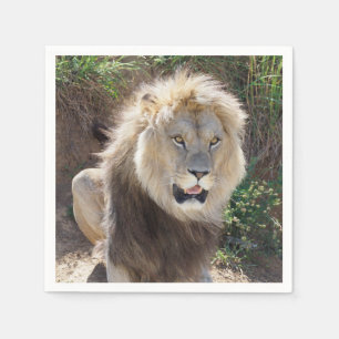 Lion sitting on the rocks napkin