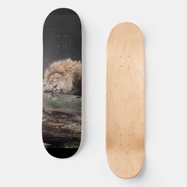 Lion Skateboard (Front)