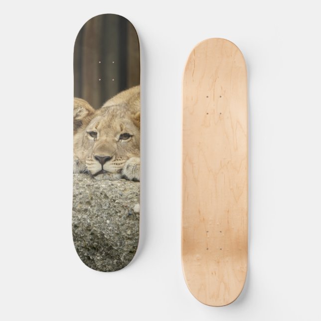 Lion Skateboard (Front)