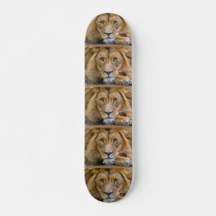 LION Skateboards