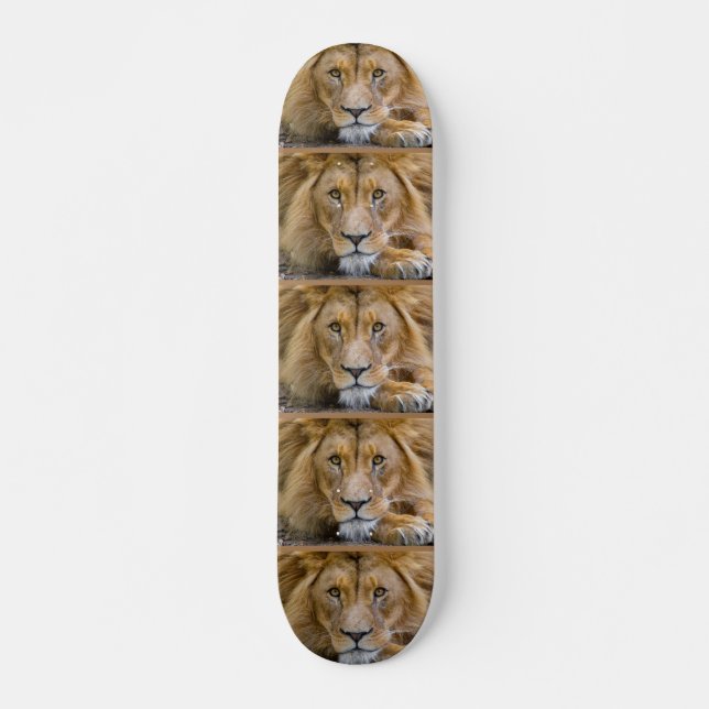 LION Skateboards (Front)