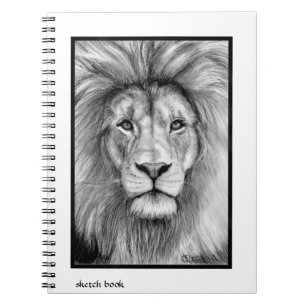 Lion sketch book