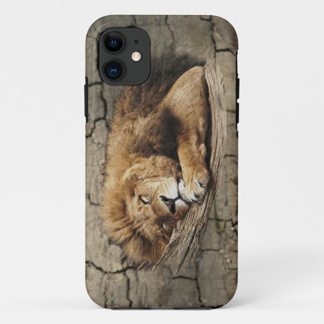 Lion sleeping Animal wild Cat stone Case-Mate iPhone Case (Back)