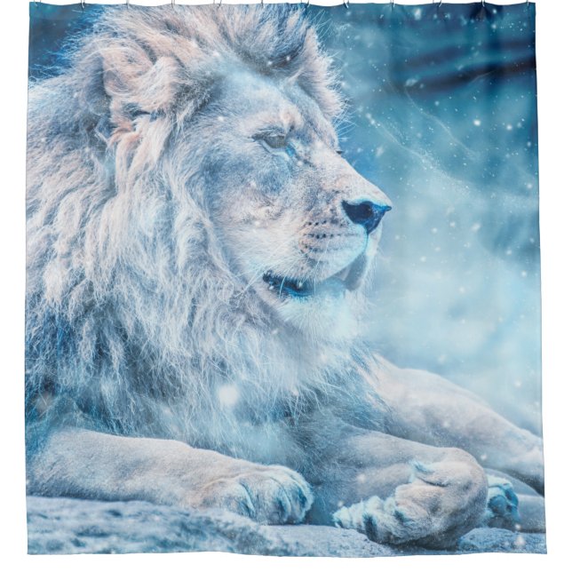 Lion snow lying down art animal (Front)