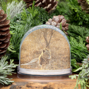 Lion Snowglobe