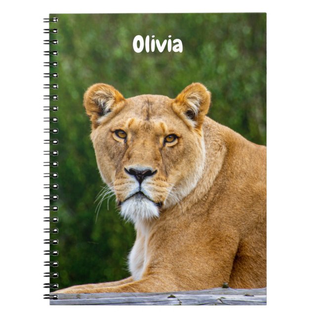 Lion Spiral notebook (Front)