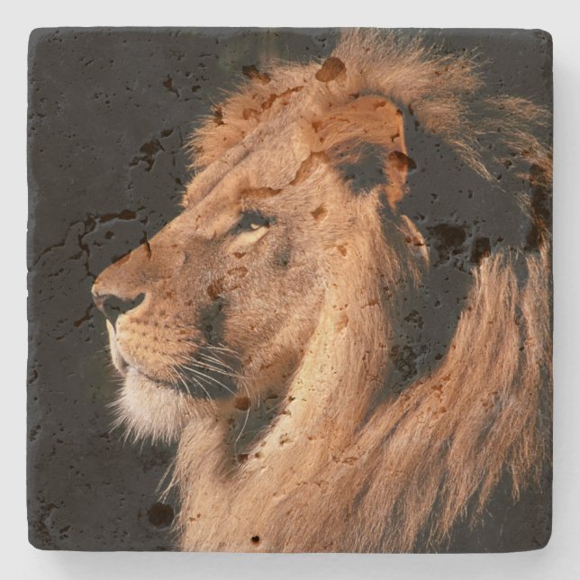 Lion Stone Coaster (Front)