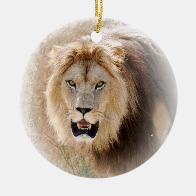 Lion T-Shirt Ceramic Ornament (Front)