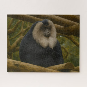 Lion-Tailed Macaque in Forest Sanctuary Jigsaw Puzzle