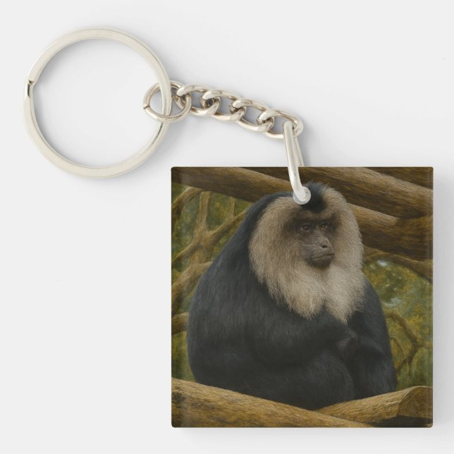 Lion-Tailed Macaque in Forest Sanctuary Keychain (Front)