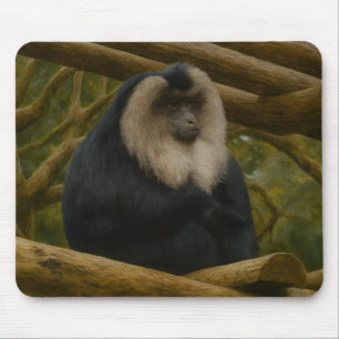 Lion-Tailed Macaque in Forest Sanctuary Mouse Pad