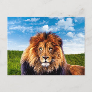 Lion The King of Forest Postcard