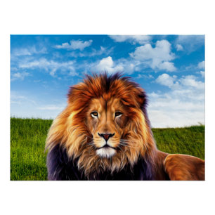 Lion The King of Forest Poster