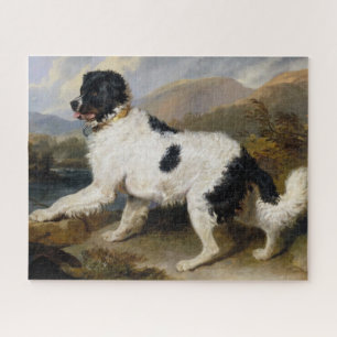Lion:  The Newfoundland Dog Jigsaw Puzzle