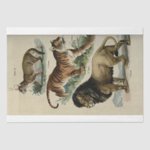 Lion Tiger Puma Ephemera Decoupage Tissue Paper