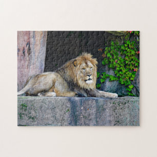 Lion Toy Jigsaw Puzzle