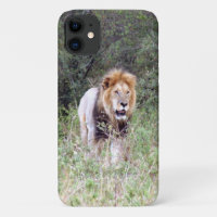 lion walk