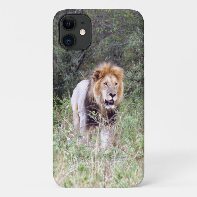 lion walk Case-Mate iPhone case (Back)