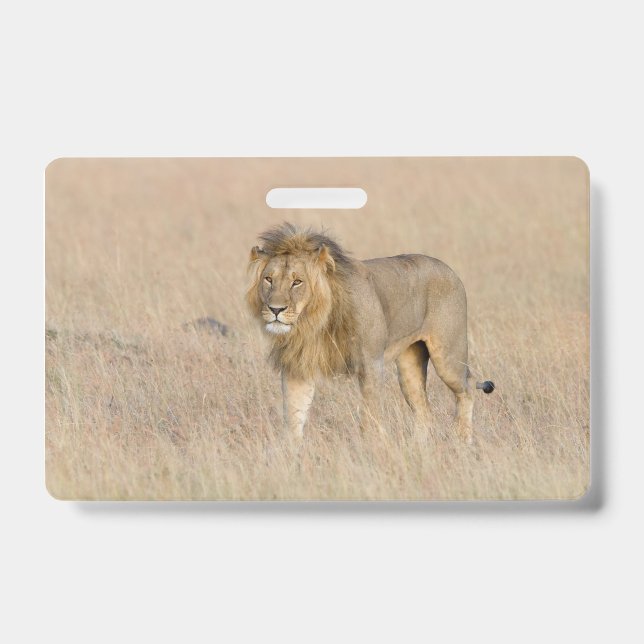 Lion walking badge (Front)