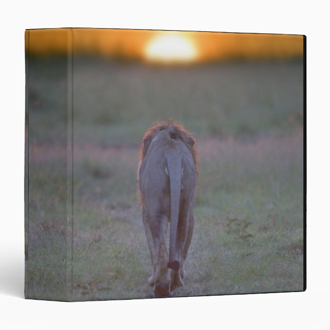 Lion walking binder (Front/Spine)