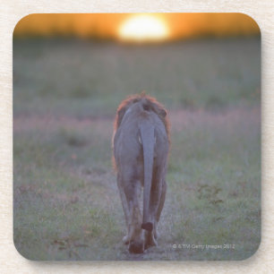 Lion walking coaster