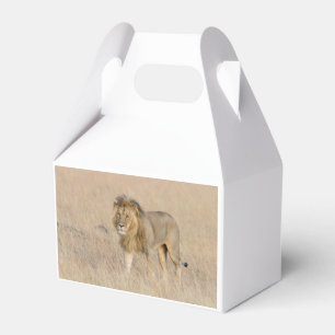 Lion walking favor box