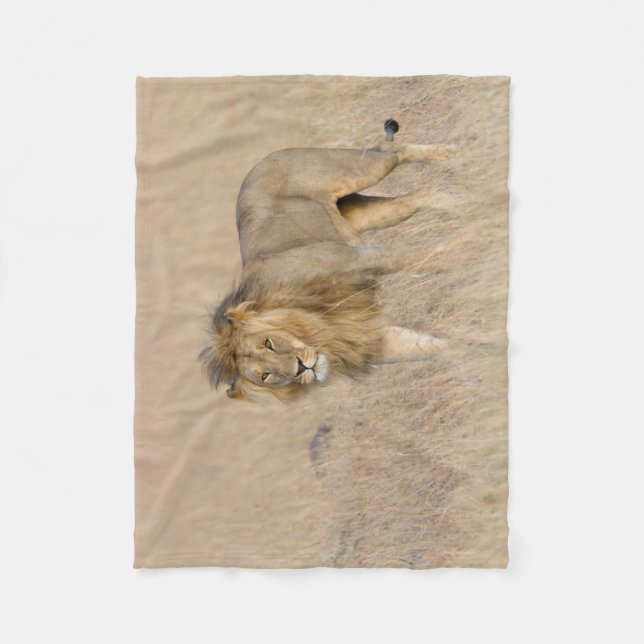 Lion walking fleece blanket (Front)