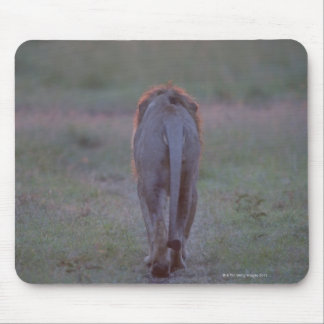 Lion walking mouse pad