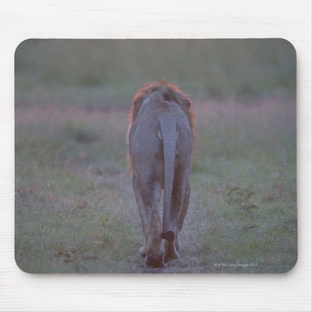 Lion walking mouse pad (Front)