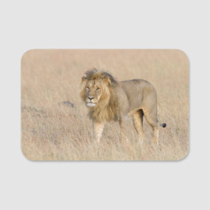 Lion walking name tag