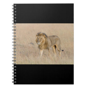 Lion walking notebook