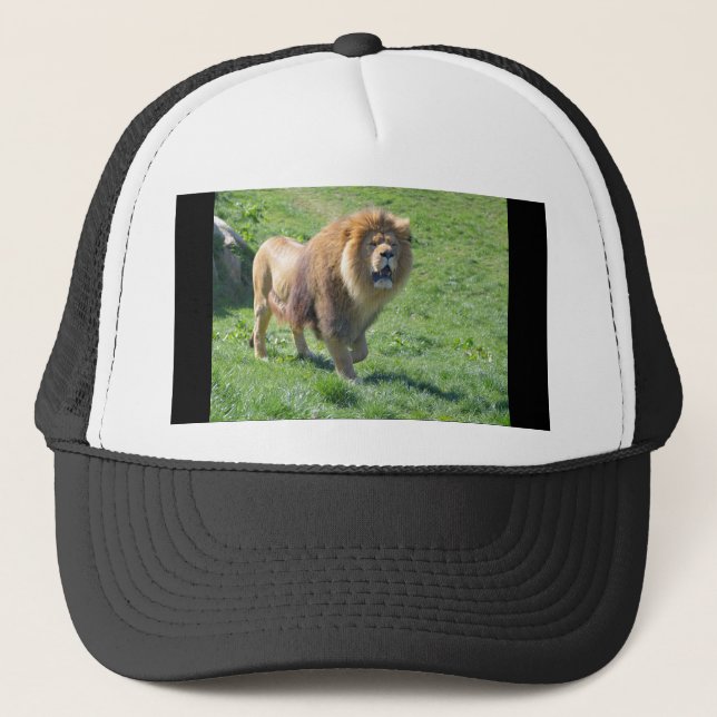 Lion walking on grass trucker hat (Front)