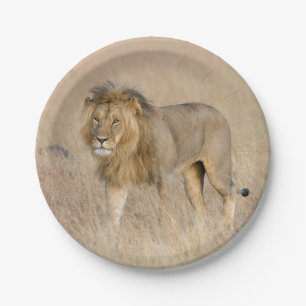 Lion walking paper plate