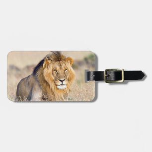Lion wildlife photography Africa Safari animal Luggage Tag