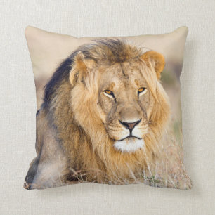 Lion wildlife photography safari animal throw pillow