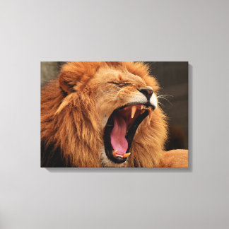 Lion With Open Mouth Canvas Print