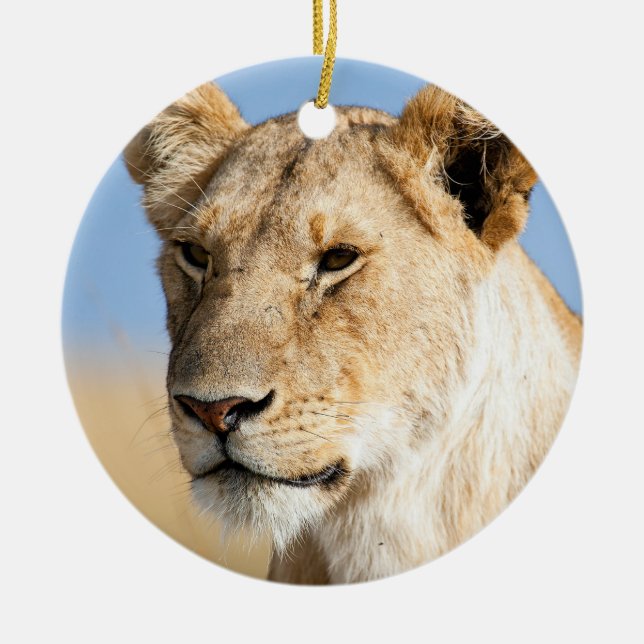 Lioness against blue sky ceramic ornament (Front)