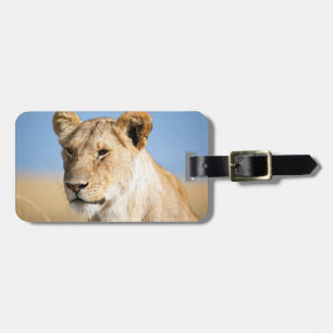 Lioness against blue sky luggage tag