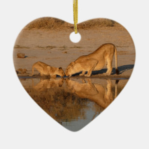 LIONESS AND CUB TAKING A REFLECTED DRINK CERAMIC ORNAMENT