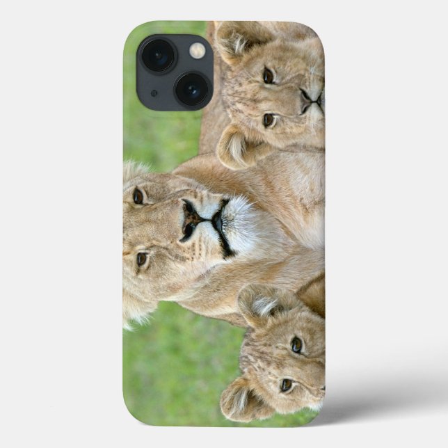 Lioness and Two Cubs, East Africa, Tanzania, Case-Mate iPhone Case (Back)