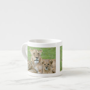 Lioness and Two Cubs, East Africa, Tanzania, Espresso Cup