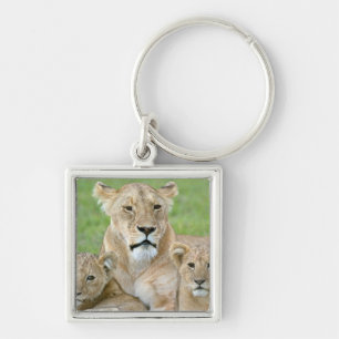 Lioness and Two Cubs, East Africa, Tanzania, Keychain