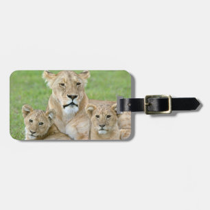 Lioness and Two Cubs, East Africa, Tanzania, Luggage Tag