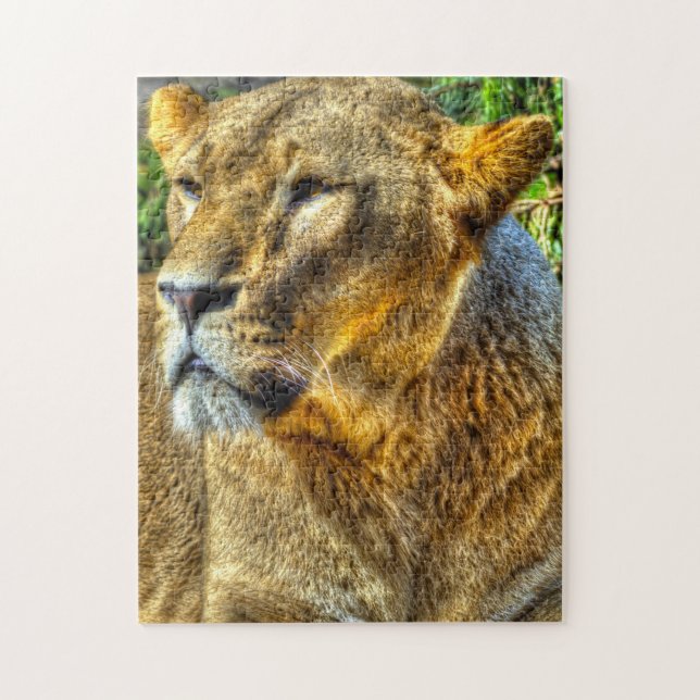 Lioness Big Cats. Jigsaw Puzzle (Vertical)