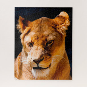 Lioness Big Cats. Jigsaw Puzzle