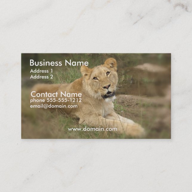 Lioness Business Card (Front)